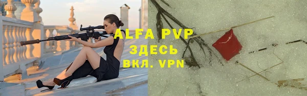 крисы Белокуриха