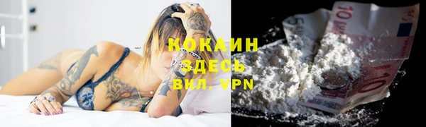 крисы Белокуриха