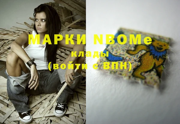 крисы Белокуриха