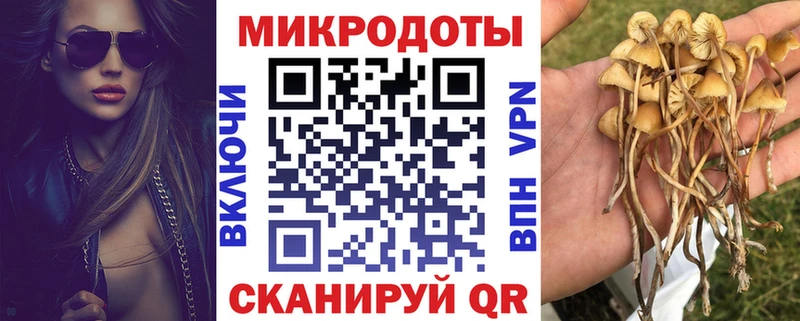 Псилоцибиновые грибы Cubensis  купить   Ясный 